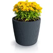 Prosperplast Ensemble de 4 pinceaux plats