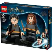 LEGO Harry Potter 76393 Harry Potter et Hermione Granger