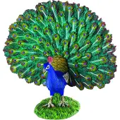 Collecta Paon - (L)