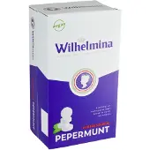 Wilhelmina Pepermunt Bonbons Menthe Fraîche 3000g Grand Format Sucre Naturel Aromatisé