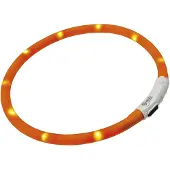 Ferplast Collier De Chien Night Over