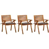 vidaXL Chaises de jardin avec coussins 3 pcs. Bois massif acacia
