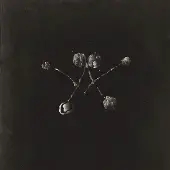 Konkurrent Waterstrider - Nowhere Now [Vinyl] Download Insert