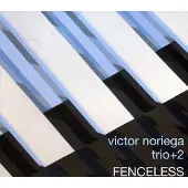 Sonic Fenceless