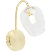 QAZQA Applique murale intelligente dorée avec verre, WiFi G9 - Elien