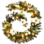 vidaXL Guirlande de Noël avec lumières LED Noir 2,7 m PVC