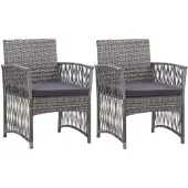 vidaXL Fauteuil de jardin avec coussin 2 pcs. Anthracite Poly rotin
