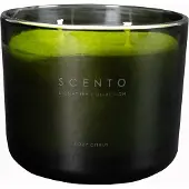 Scento Signature Collection Fizyy Citrus PETITE BOUGIE 325 G