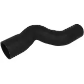 THERMOTEC Tuyau d'admission, alimentation d'air DCG009TT