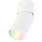 QAZQA Spot intelligent blanc réglable avec Wifi GU10 - Falo