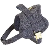Kentucky Dogwear Harness Body Safe Harnais pour chien, Taille:M, Couleur:Gris