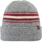Barts Vinter Beanie Gris