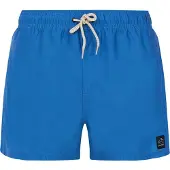 Protest Short de Plage Protest Homme Prtstilo Gladio Blue-S