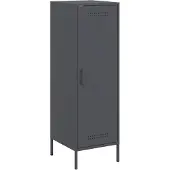 vidaXL Highboard Anthracite 36x39x113 cm Acier