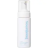 Etude Soonjung pH 6,5 Whip Cleanser 5.07 fl.oz (150 ml) 23AD | Nettoyage non comedogene et hypoallergenique de bulle douce pour le visage hydrata