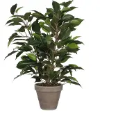 Mica Ficus Natsja Artificial Plant Vert