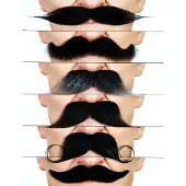 MOM Ensemble De 6 Moustaches