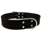 Brekz Collier en cuir noir pour chien