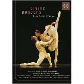 Bertus France Cnt Divine dancers
