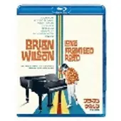 Import Brian Wilson : Long Promised Road Blu-ray