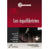 Gaumont Les équilibristes DVD