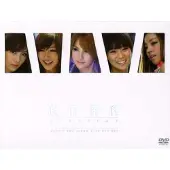 Import Step It Up DVD