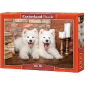 Castorland Puzzle Les Chiots Samoyèdes Disent Bonjour - 1000 pièces