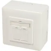 Dsit CAT 6A Prise universelle UP + AP 2 x RJ45 STP blanc pur (boîte pliante de 1)