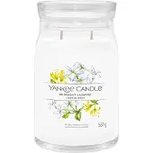 Yankee candle Midnight Jasmine bougie parfumée I. Signature 567 g