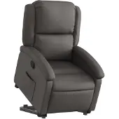 vidaXL Fauteuil relax avec releveur Gris Cuir véritable