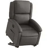 vidaXL Fauteuil relax avec releveur électrique Gris Cuir véritable