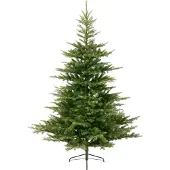 Everlands Sapin artificiel Everlands Grandis Fir 210 cm - sans éclairage