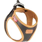 Curli Harnais pour chiens en cuir de pomme Noir M, 6-9 kg