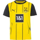Puma T-Shirt fonctionnel 'Borussia Dortmund 24/25 Heim' | 128 | boy