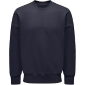 Only & Sons Sweat-shirt 'Dan'