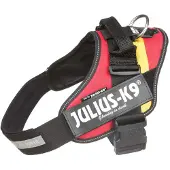 JULIUS K-9 Idc Power Dog Harness Rouge M-0