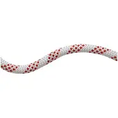 Mammut Corde 11.0 Performance Static