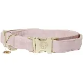 Kentucky Collier De Chien Velvet