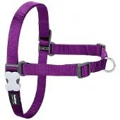 Red Dingo Harnais Pour Chien No-pull