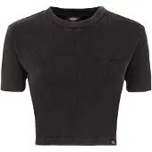 Dickies T-shirt 'Plentywood' noir