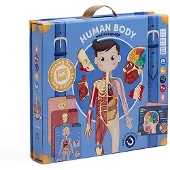 Eurekakids Human Body Magnetic Multi Language Multicolore Enfants