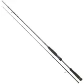 Daiwa Canne Spinning Labrax Seabass