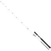 Daiwa Canne Jigging Saltist Off Shore