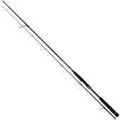 Daiwa Canne Spinning Morethan Branzino Ags