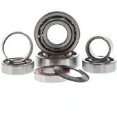 Hotrods Honda Trx 450r 04-05 Steering Bearing Kit Argenté