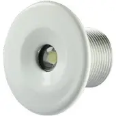 Lumitec Echo Courtesy Light Clair