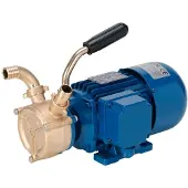 Liverani Pompe Auto-amorçante Ep40 24v