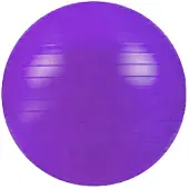 Softee Fitball Flexi