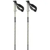 Salomon Bâtons Polar Pro S3
