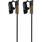 Fischer Gt 11 Carbon Mag Poles Marron 125 cm
